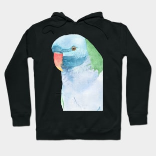 Red-breasted parakeet Hoodie